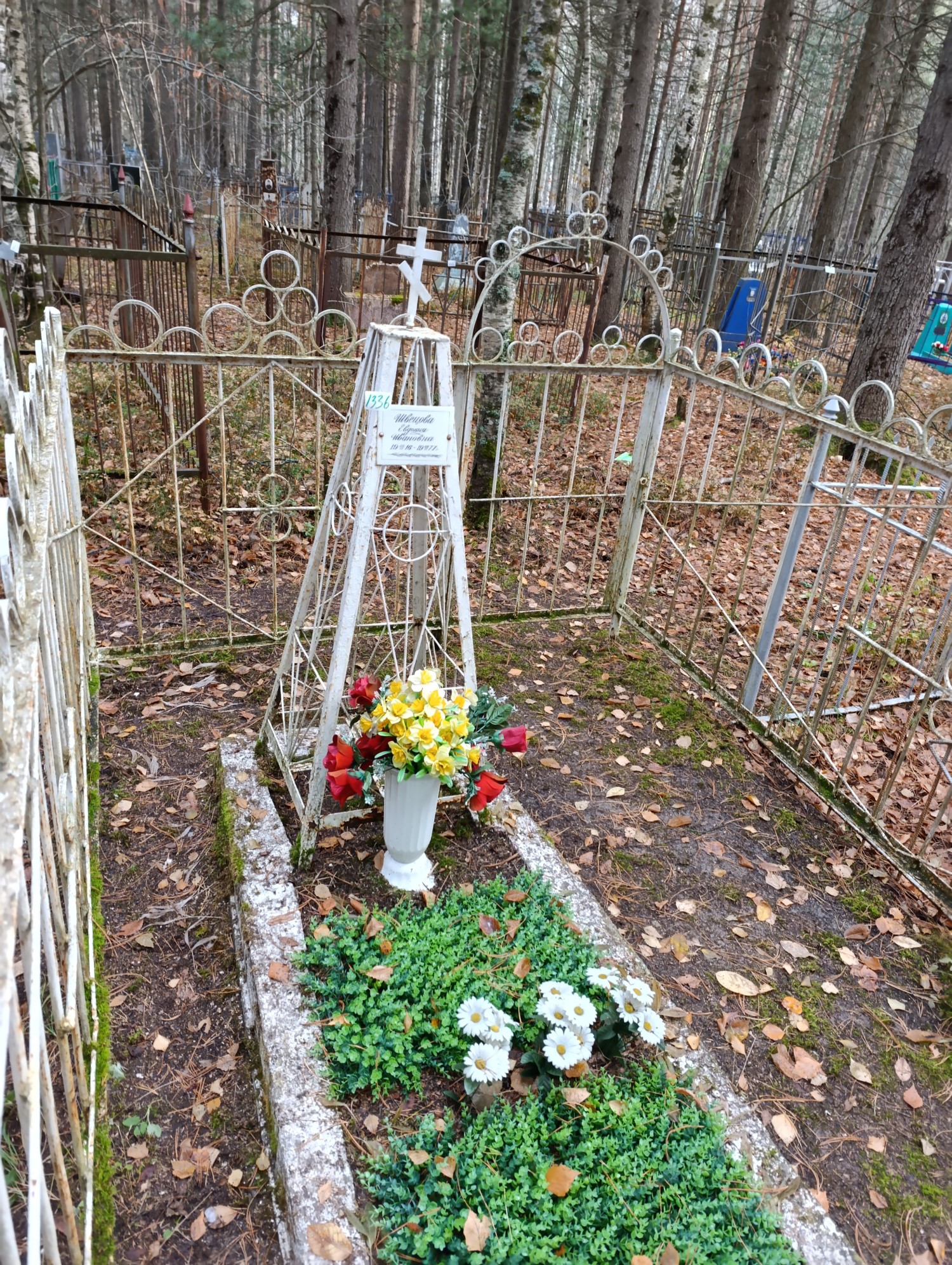 Швецова Евдокия Ивановна