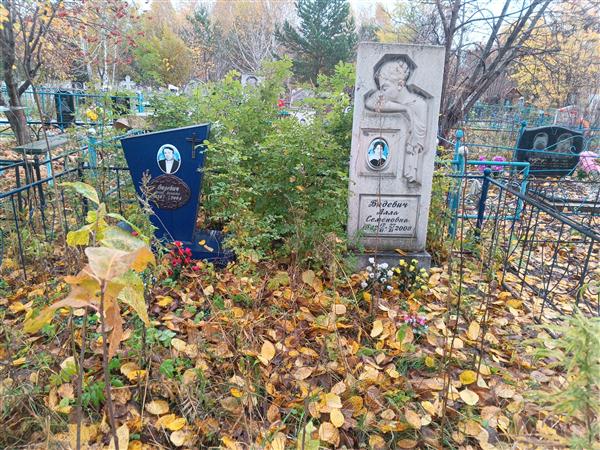 Видевич Алла Семёновна