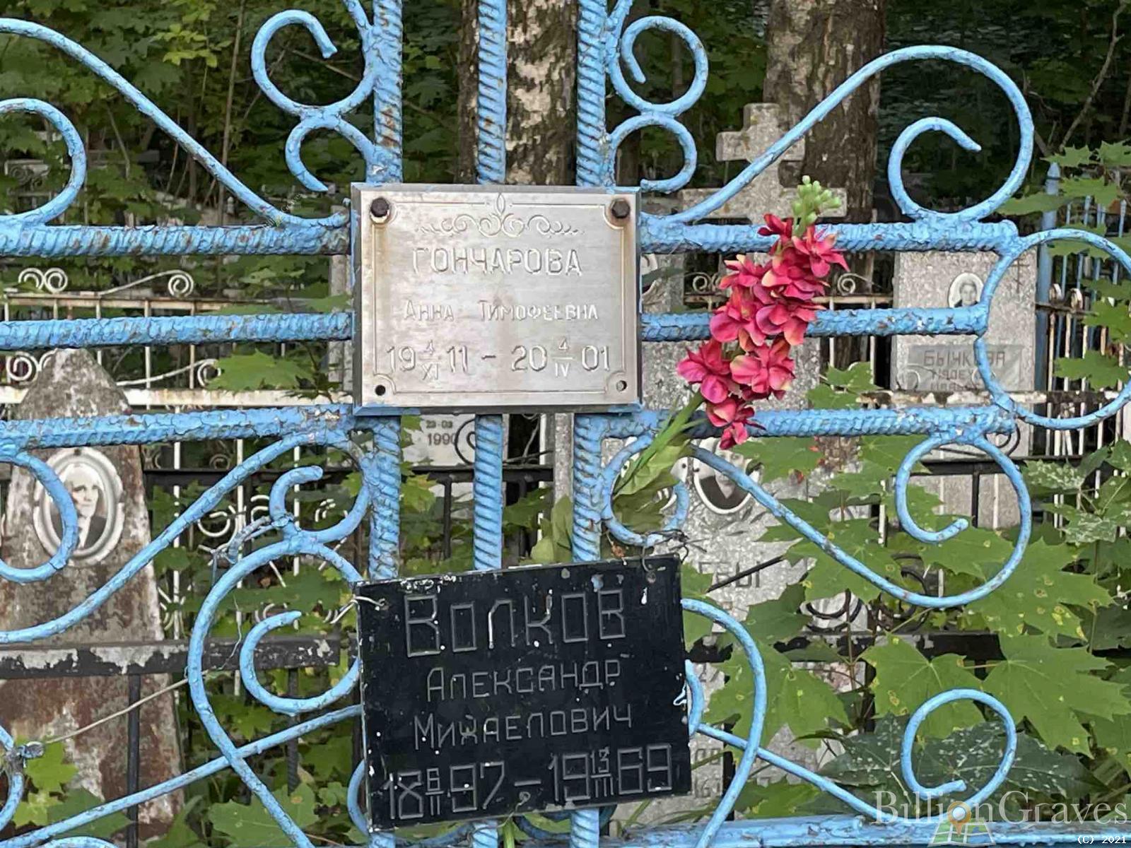 Волков Александр Михайлович