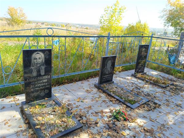 Новокшонова Анна Ивановна
