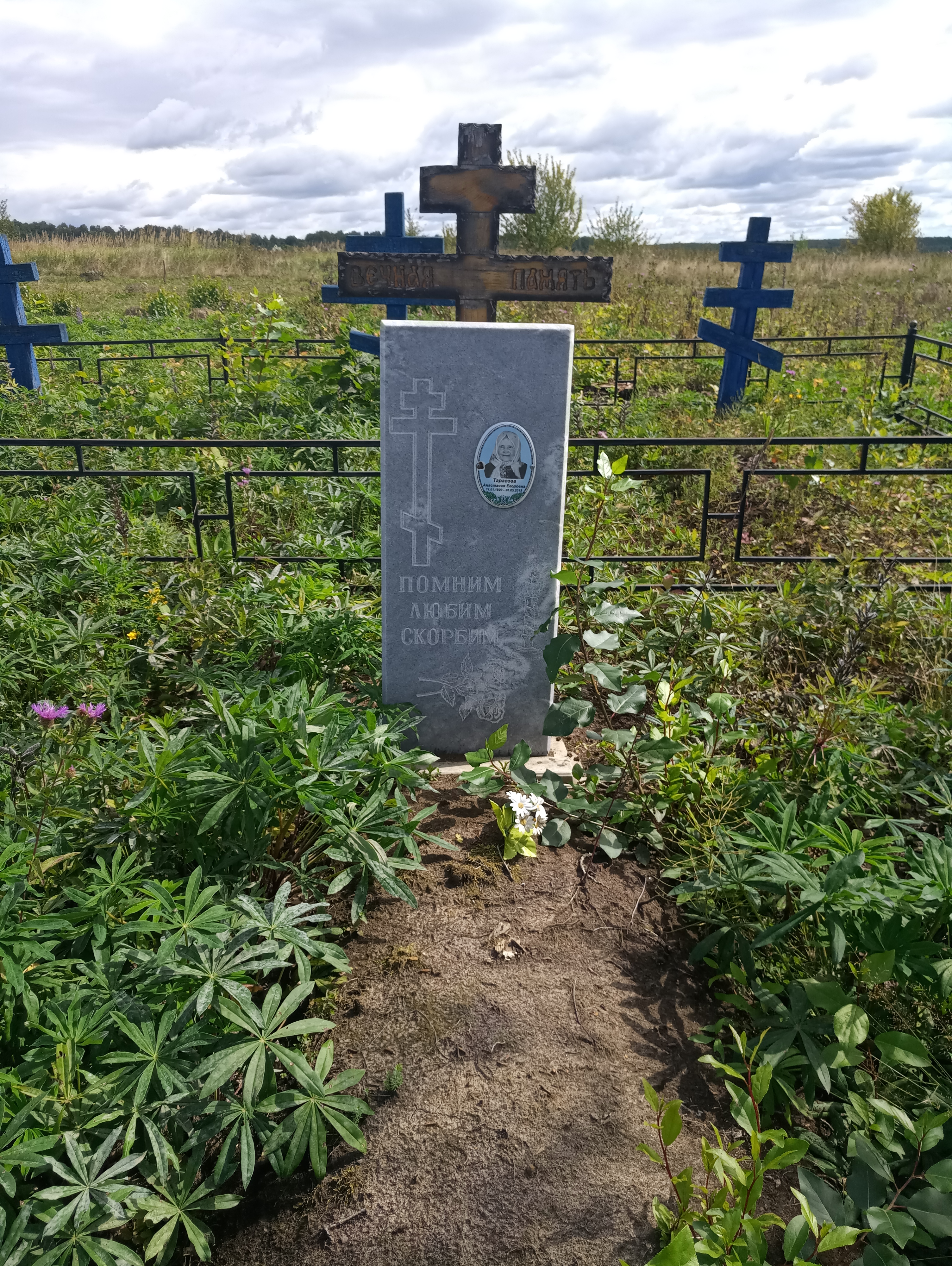 Тарасова Анастасия Егоровна