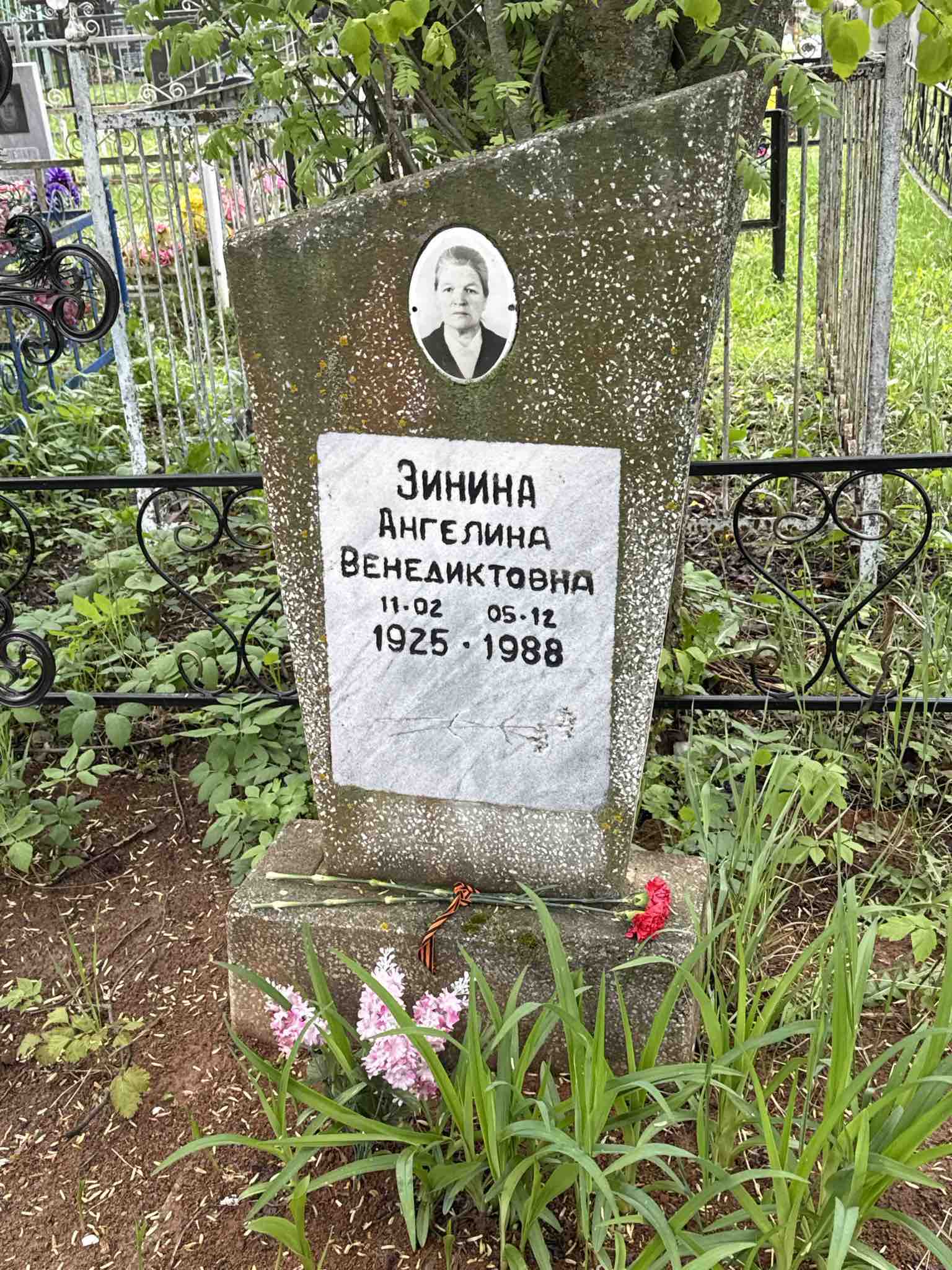 Зинина Ангелина Венедиктовна