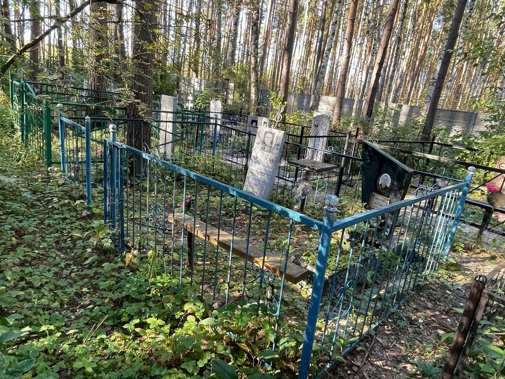 Мичурин Александр Васильевич