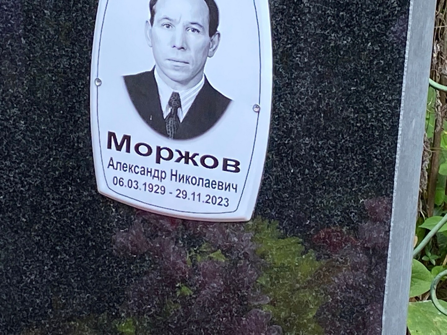 Моржов