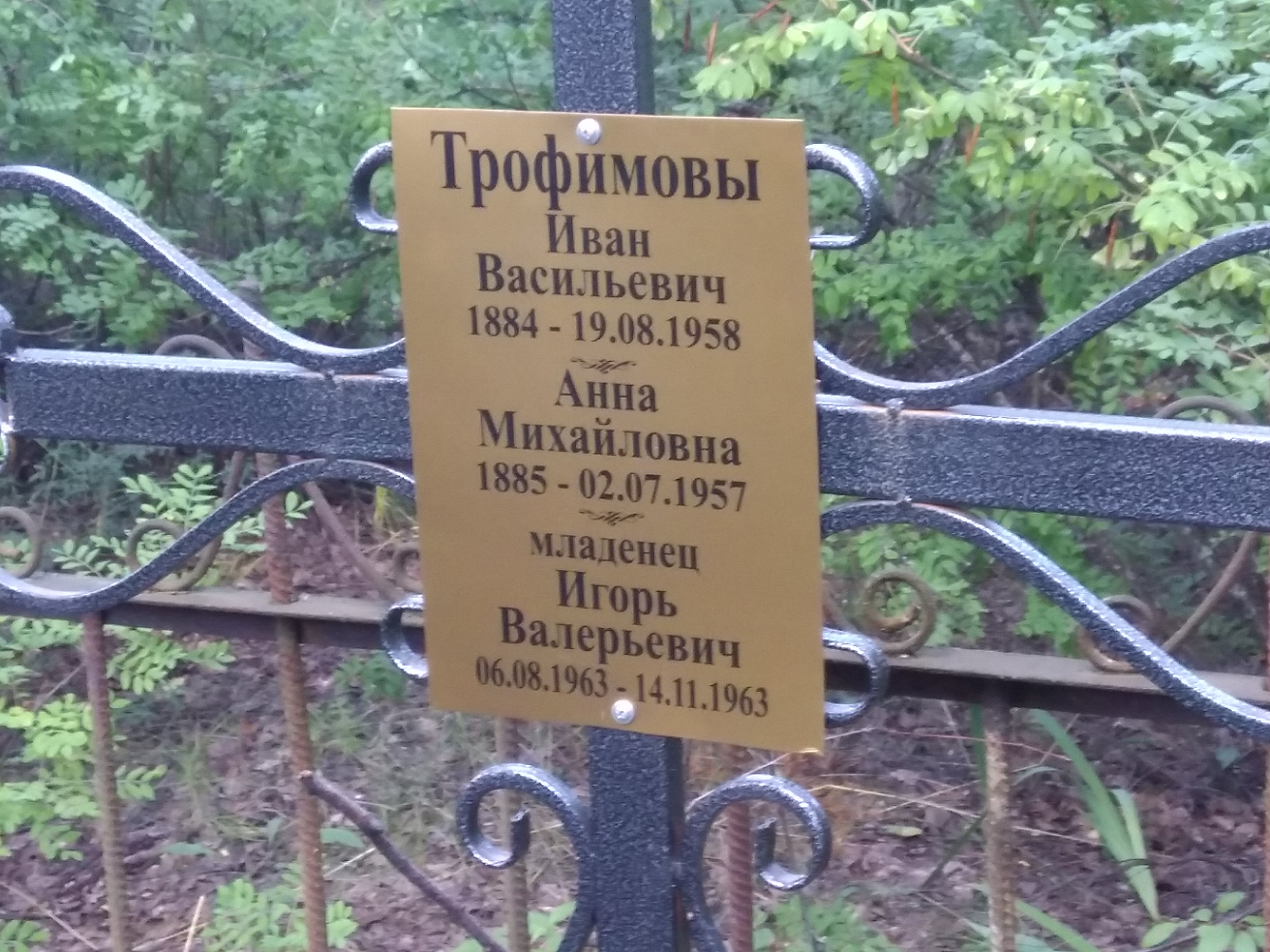 Трофимов Иван Васильевич