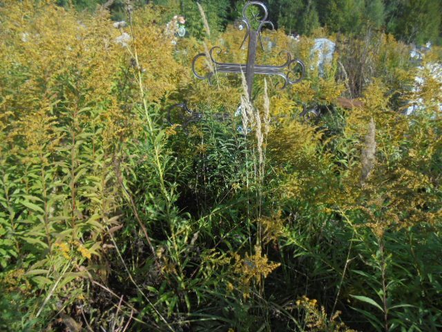 Павлюченок Алевтина Сергеевна
