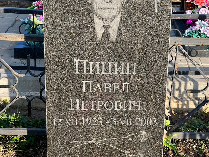 Пицин