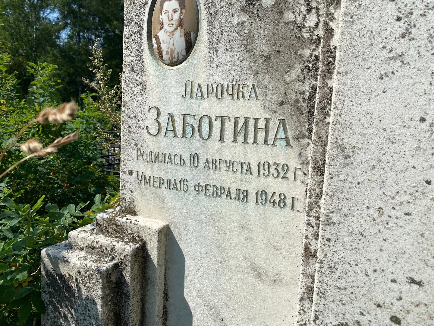 Заботина Заботина