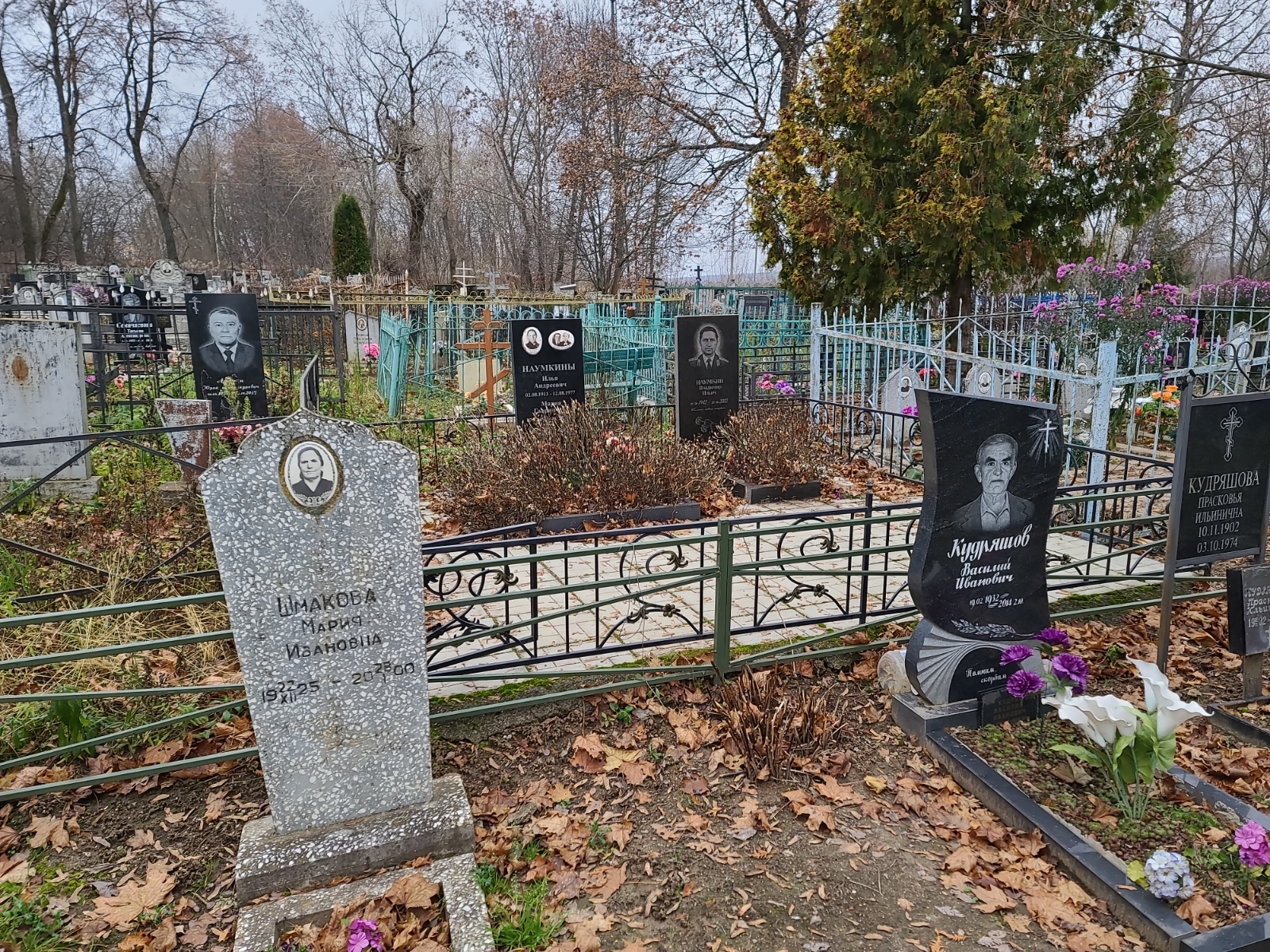 Кудряшова Прасковья Ильинична