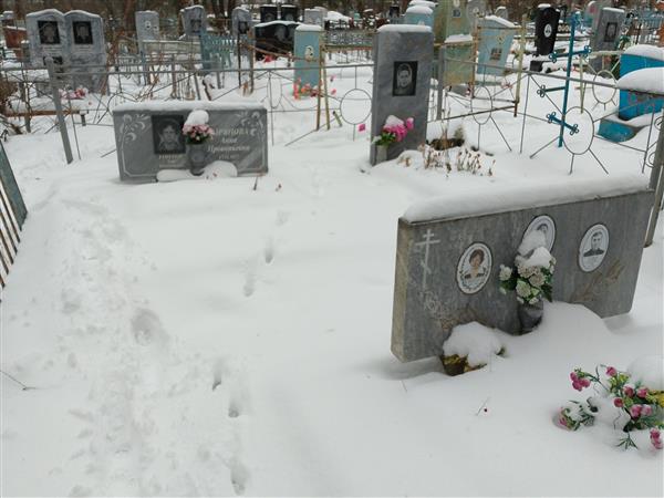 Синицына Анисия Владимировна