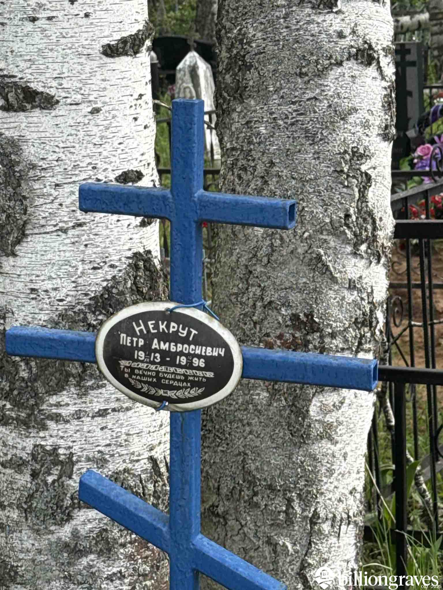 Некрут Петр Амбросиевич
