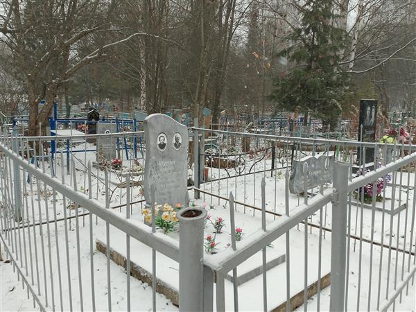 Шуман Людвиг Людвигович