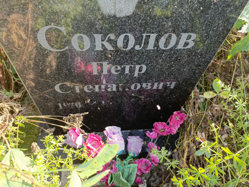 Соколов