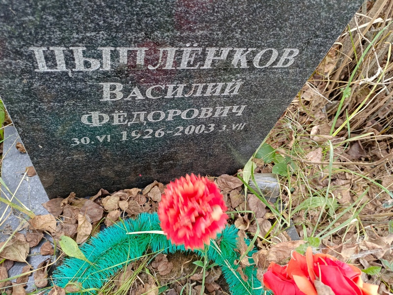 Цыпленков