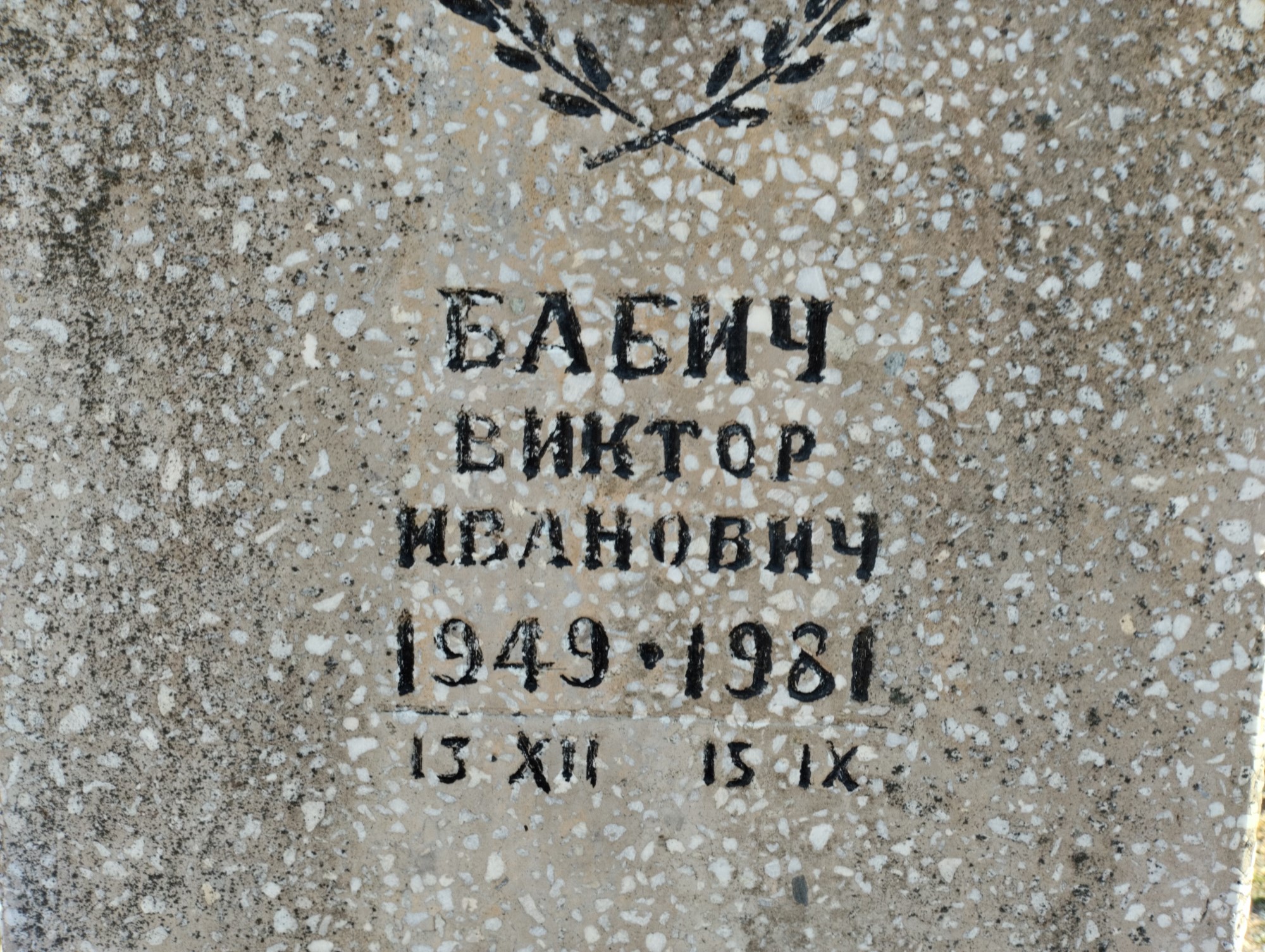 Бабич Виктор Иванович