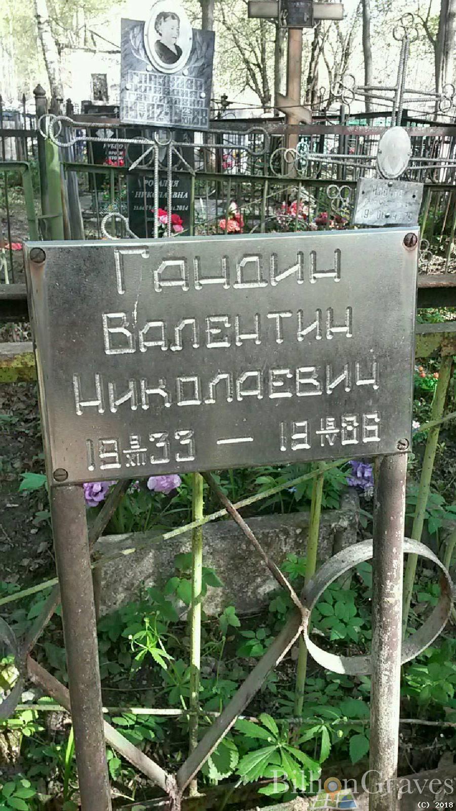 гандин валентин николаевич
