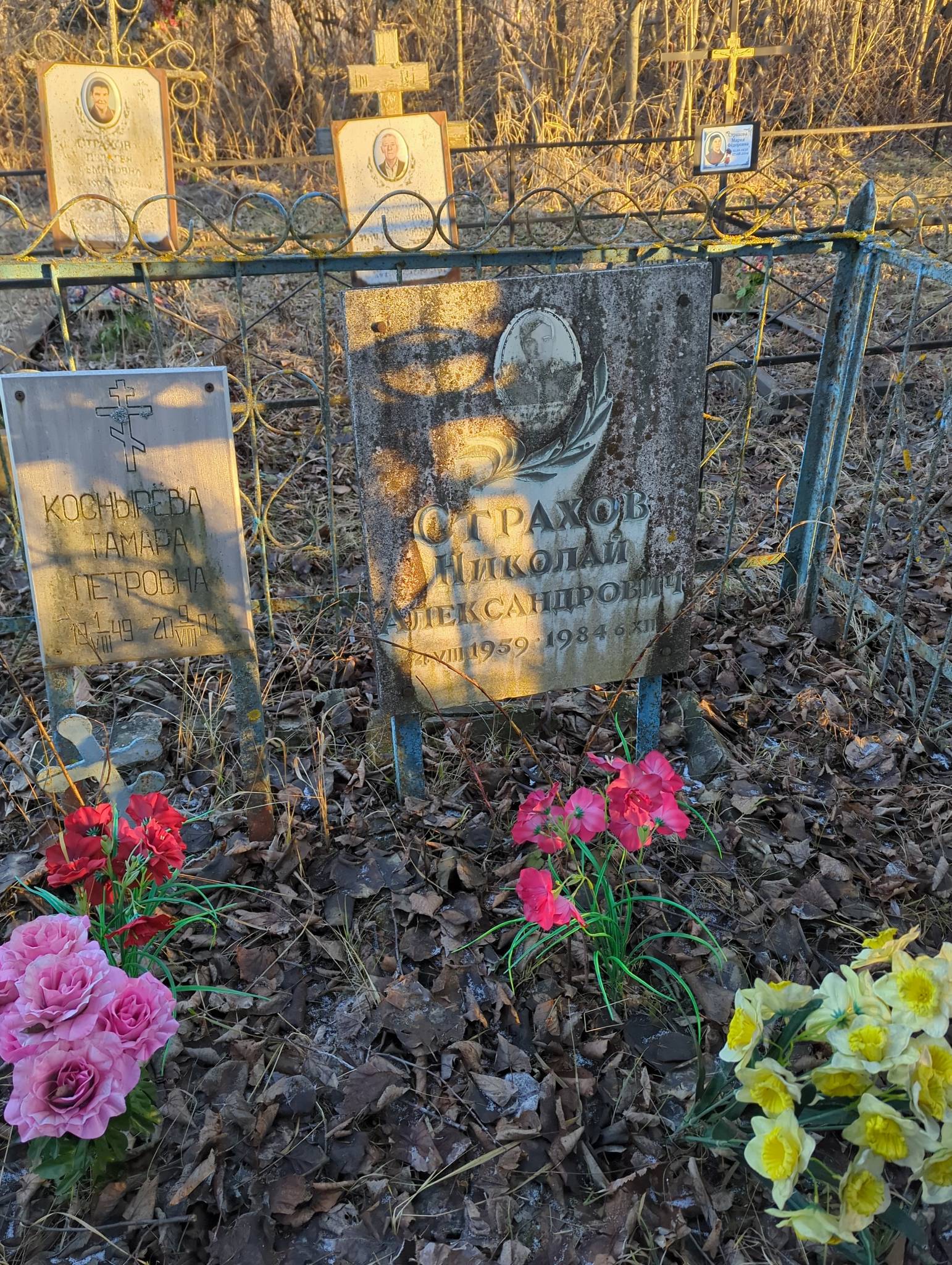 Страхов Николай Александрович