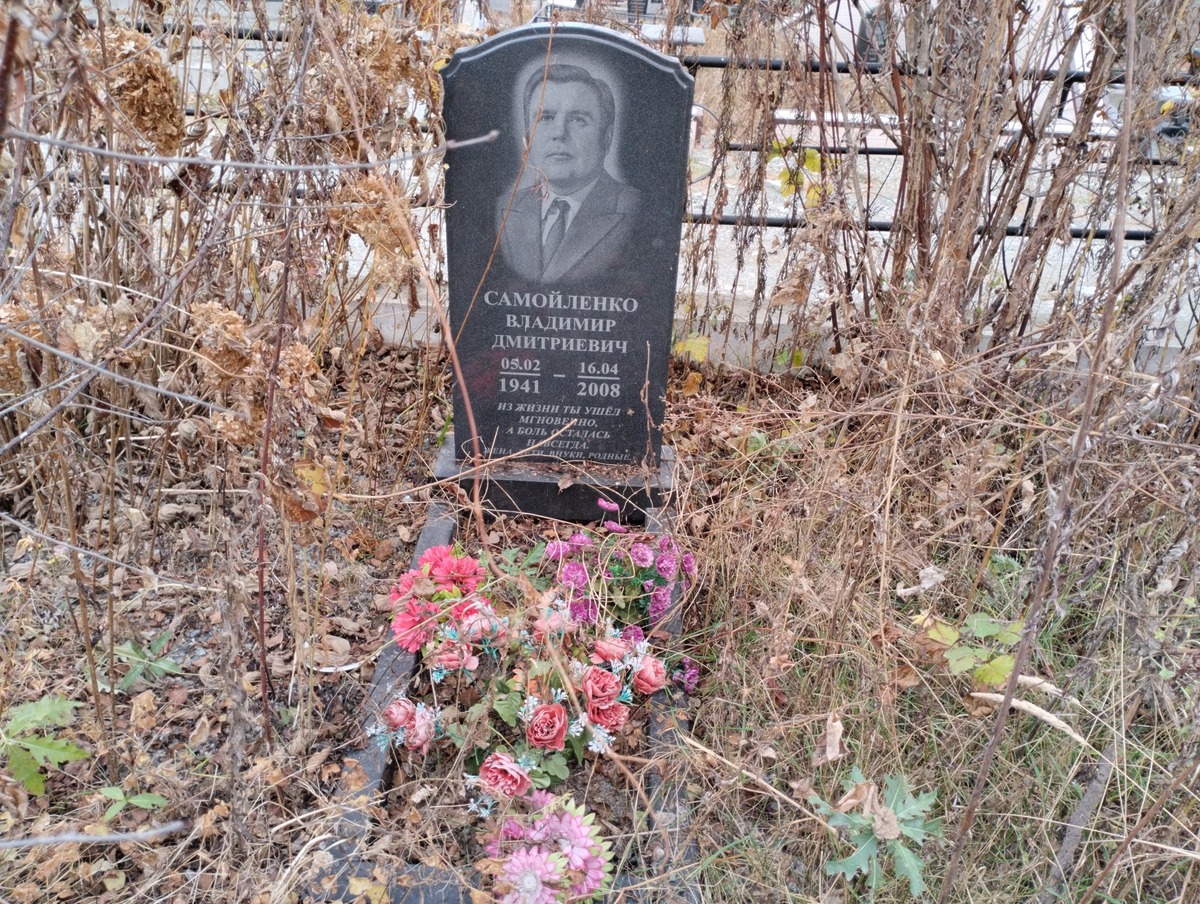 Самойленко Владимир Дмитриевич