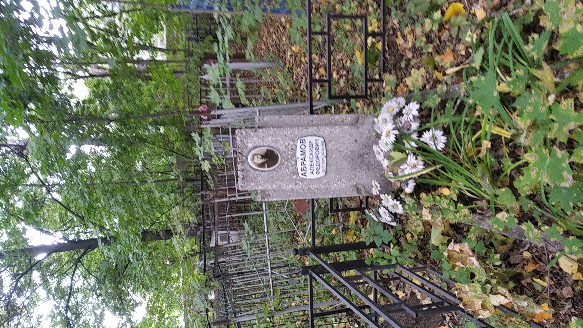 Абрамов Александр Федорович