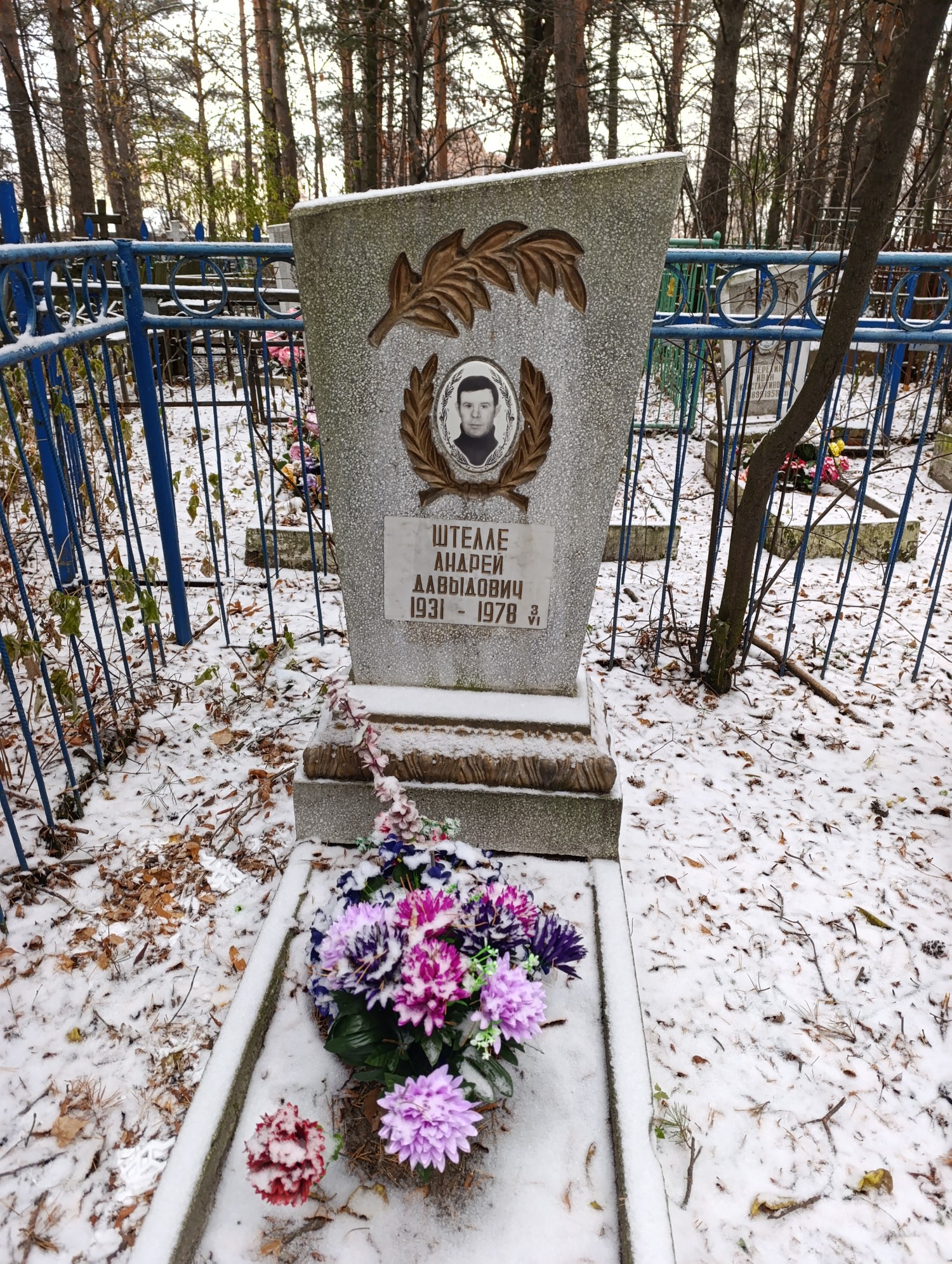 Штелле Андрей Давыдович