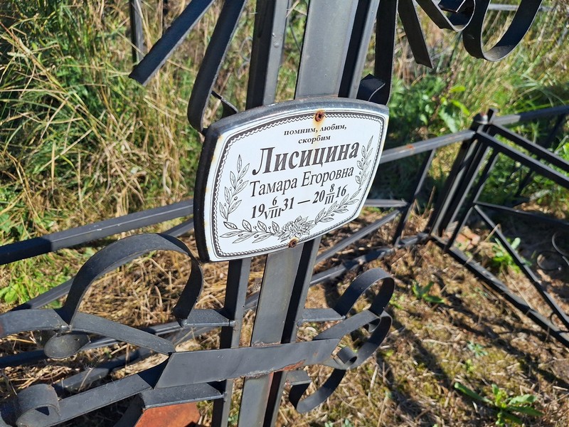 Лисицина