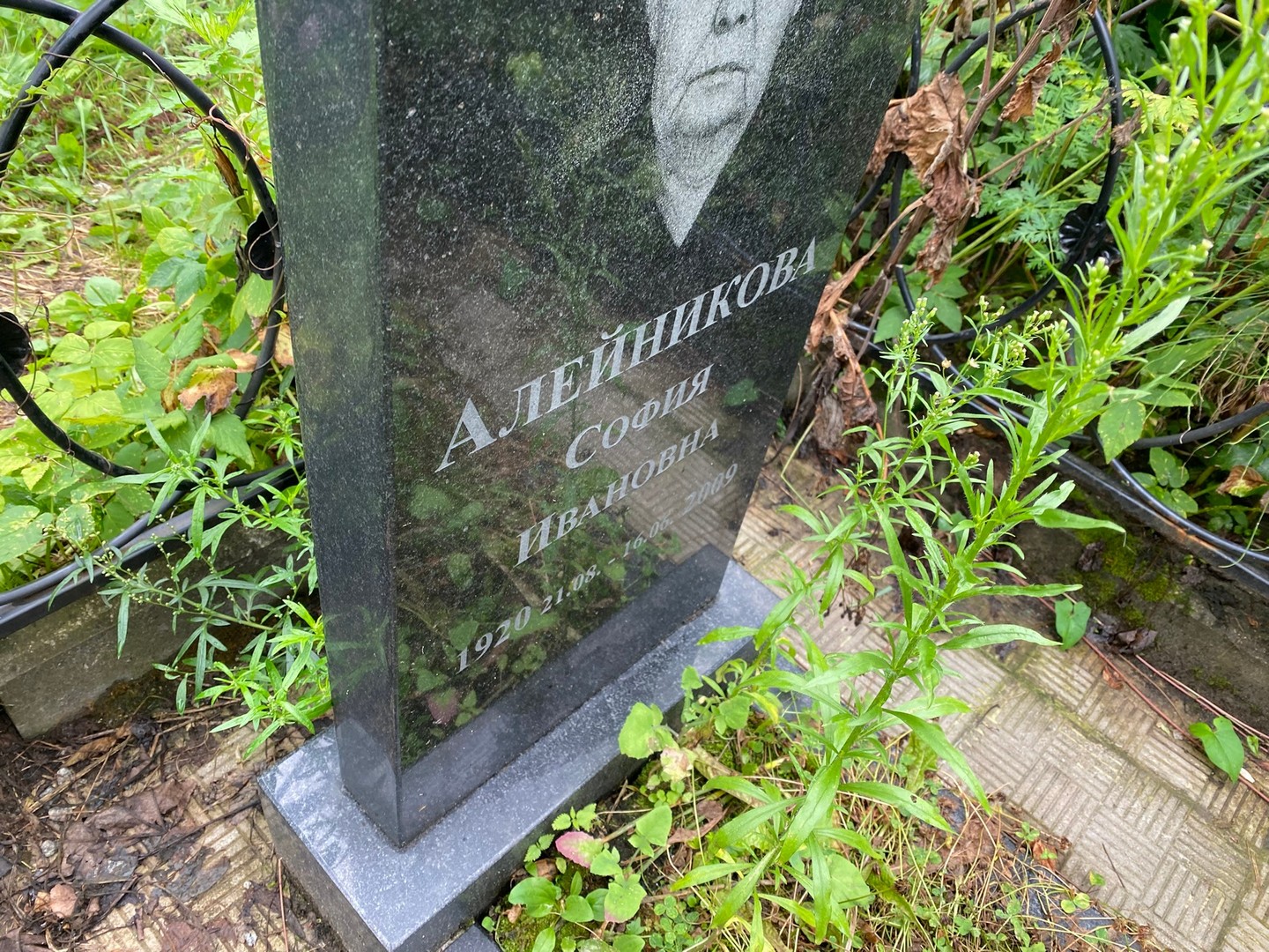София Алейникова Ивановна