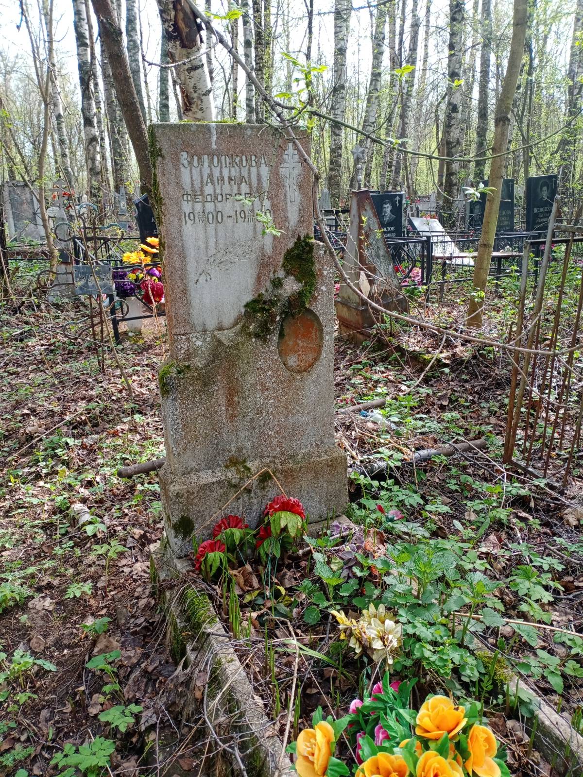 Золоткова Анна Федоровна