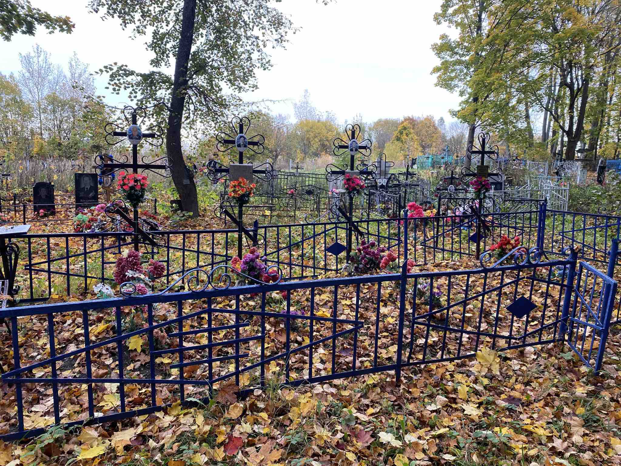 Волкова Анастасия Сергеевна