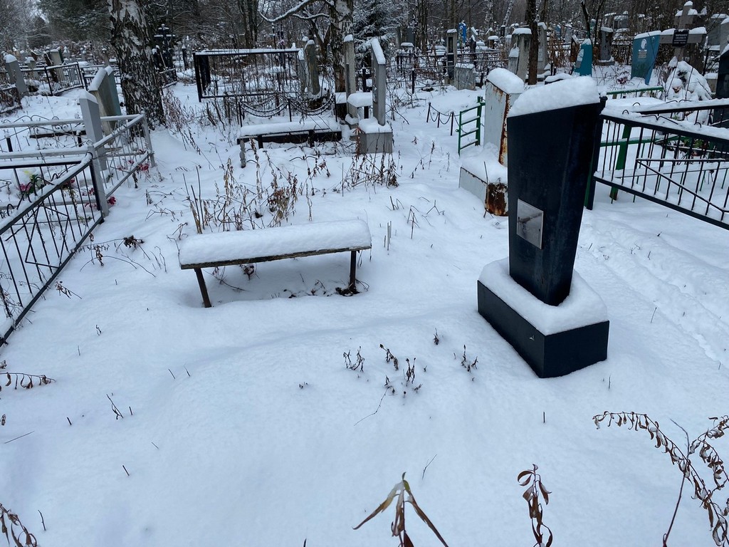 Весницкая Наталья Григорьевна