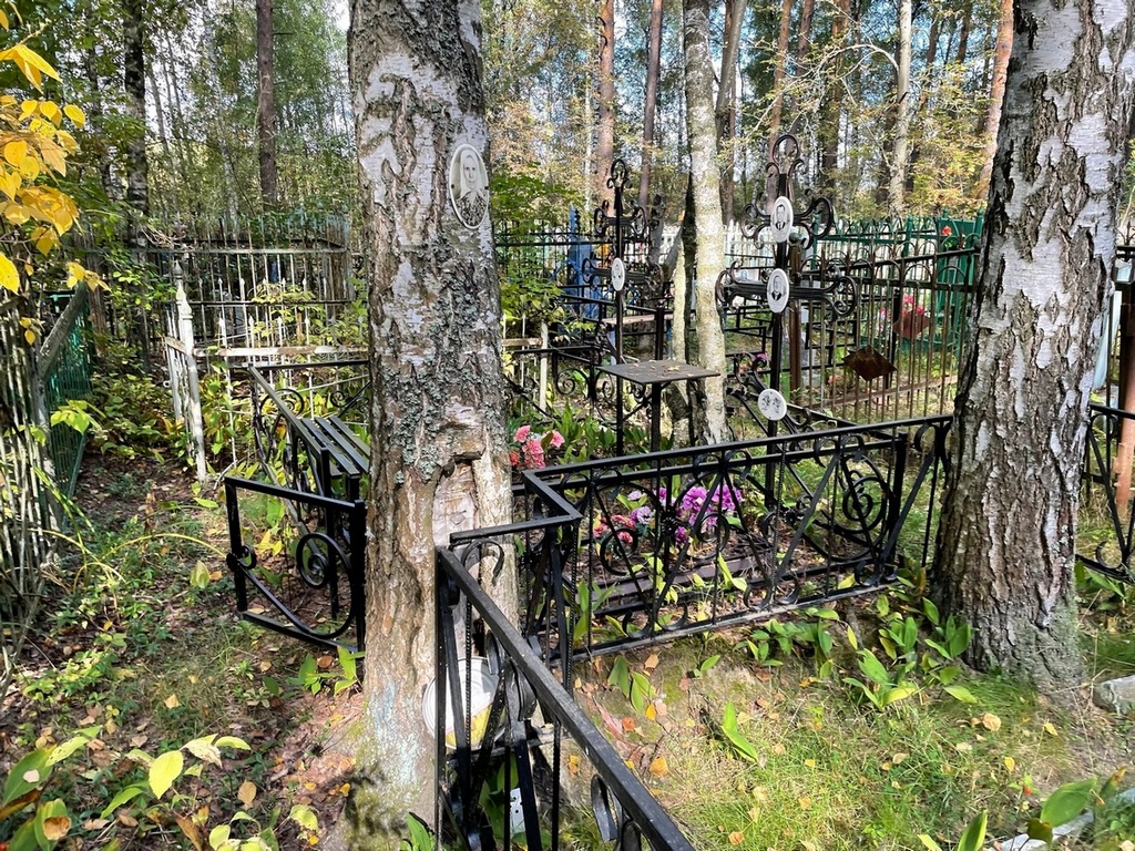 Ложкина Анна Николаевна