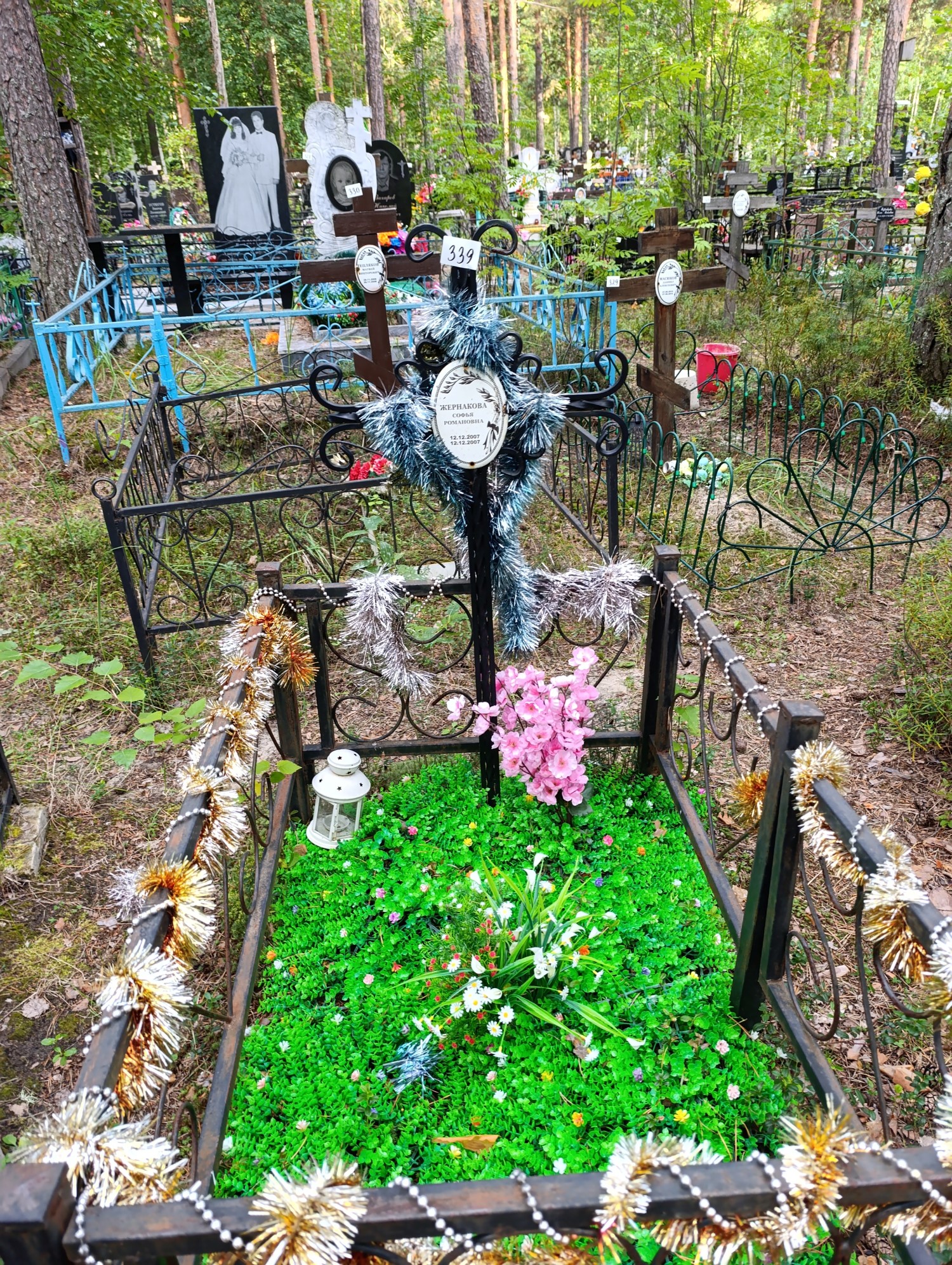Жернакова Софья Романовна