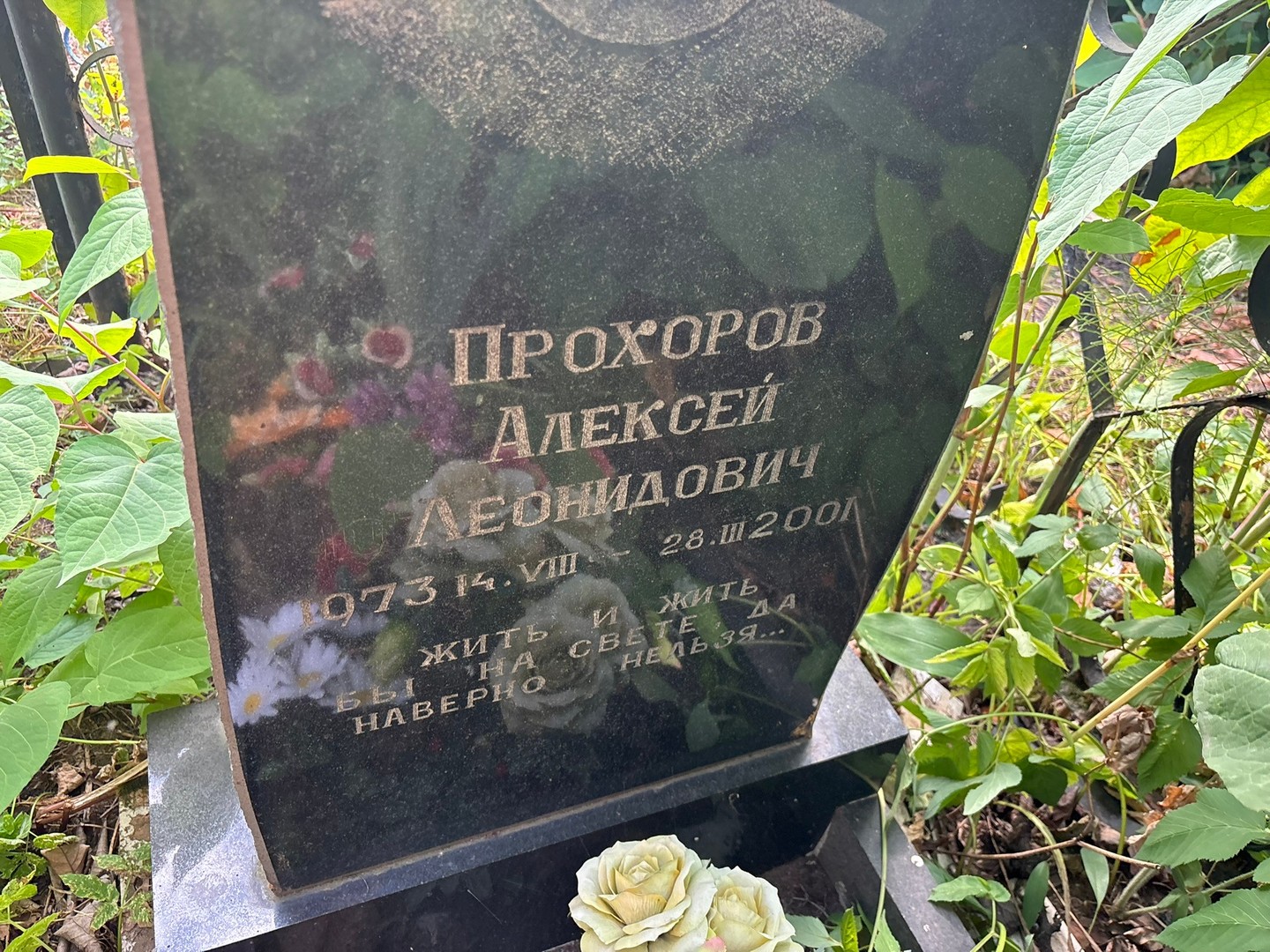 Прохоров