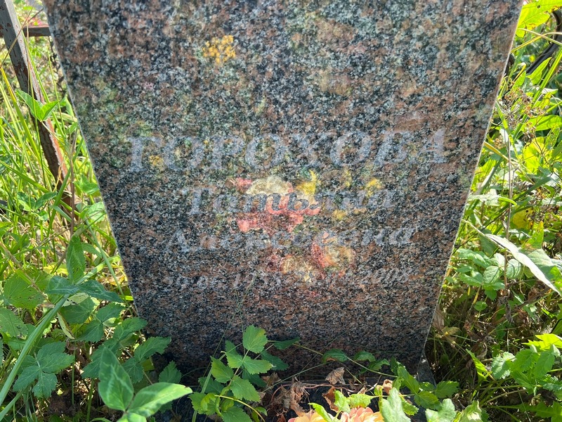Горохова