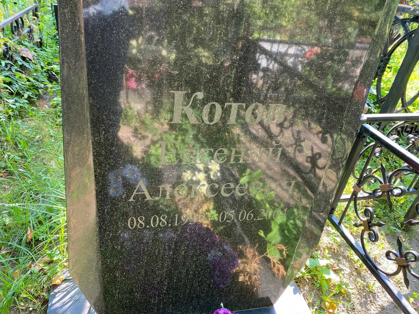 Котов