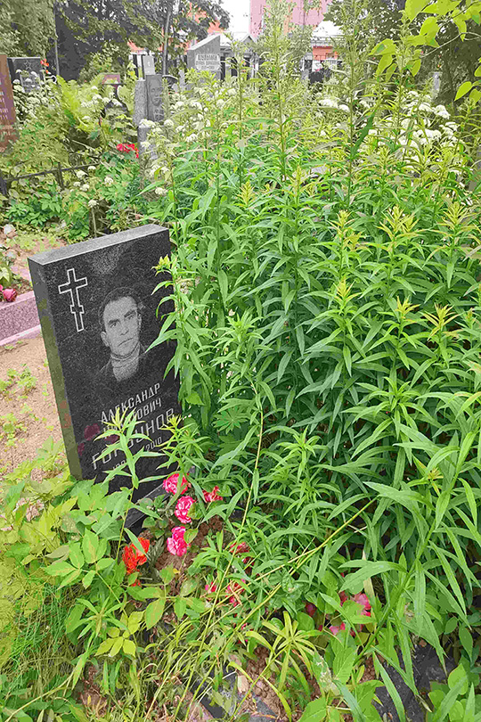 Горбунов Александр Никитович