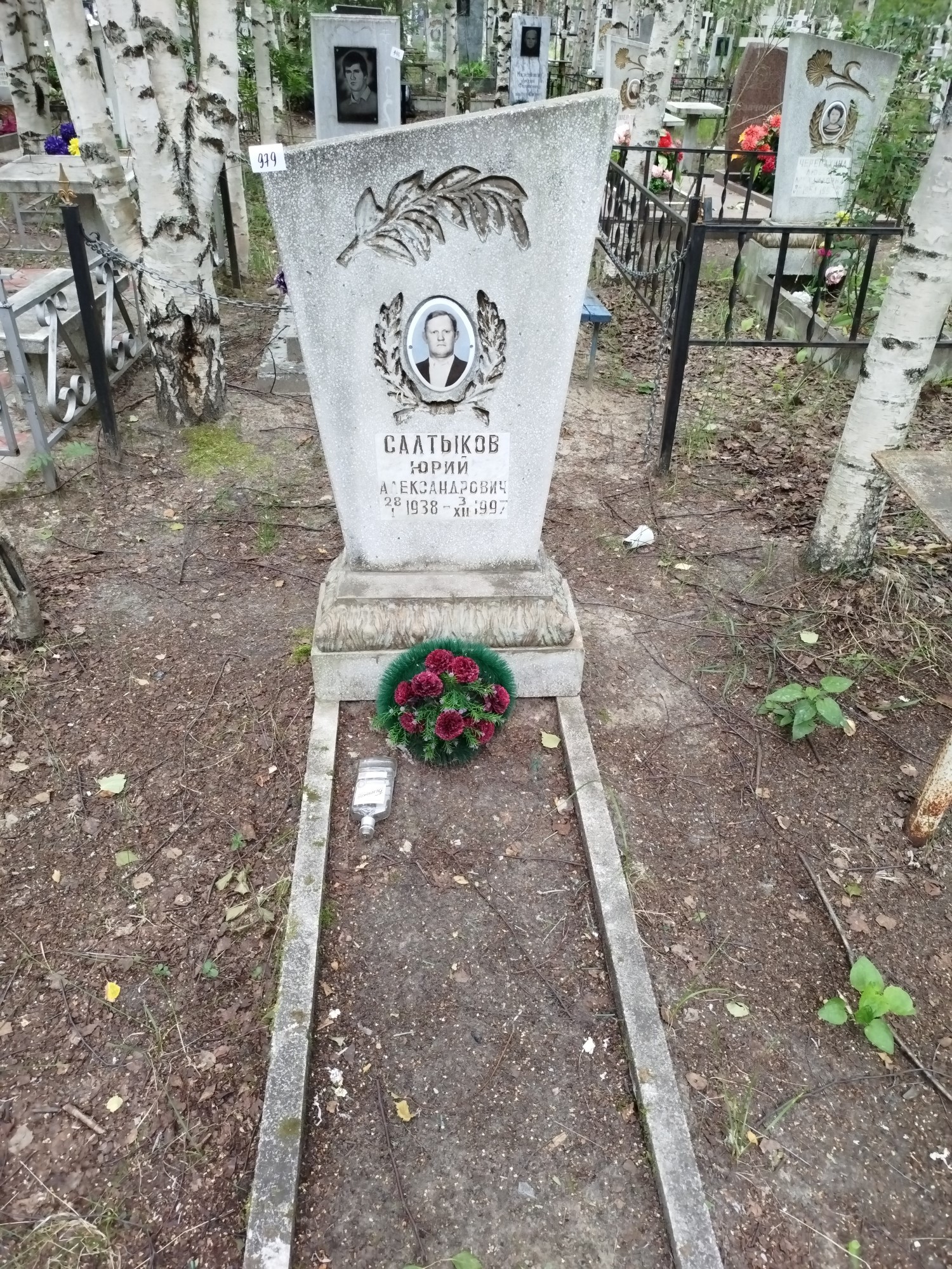 Салтыков Юрий Александрович