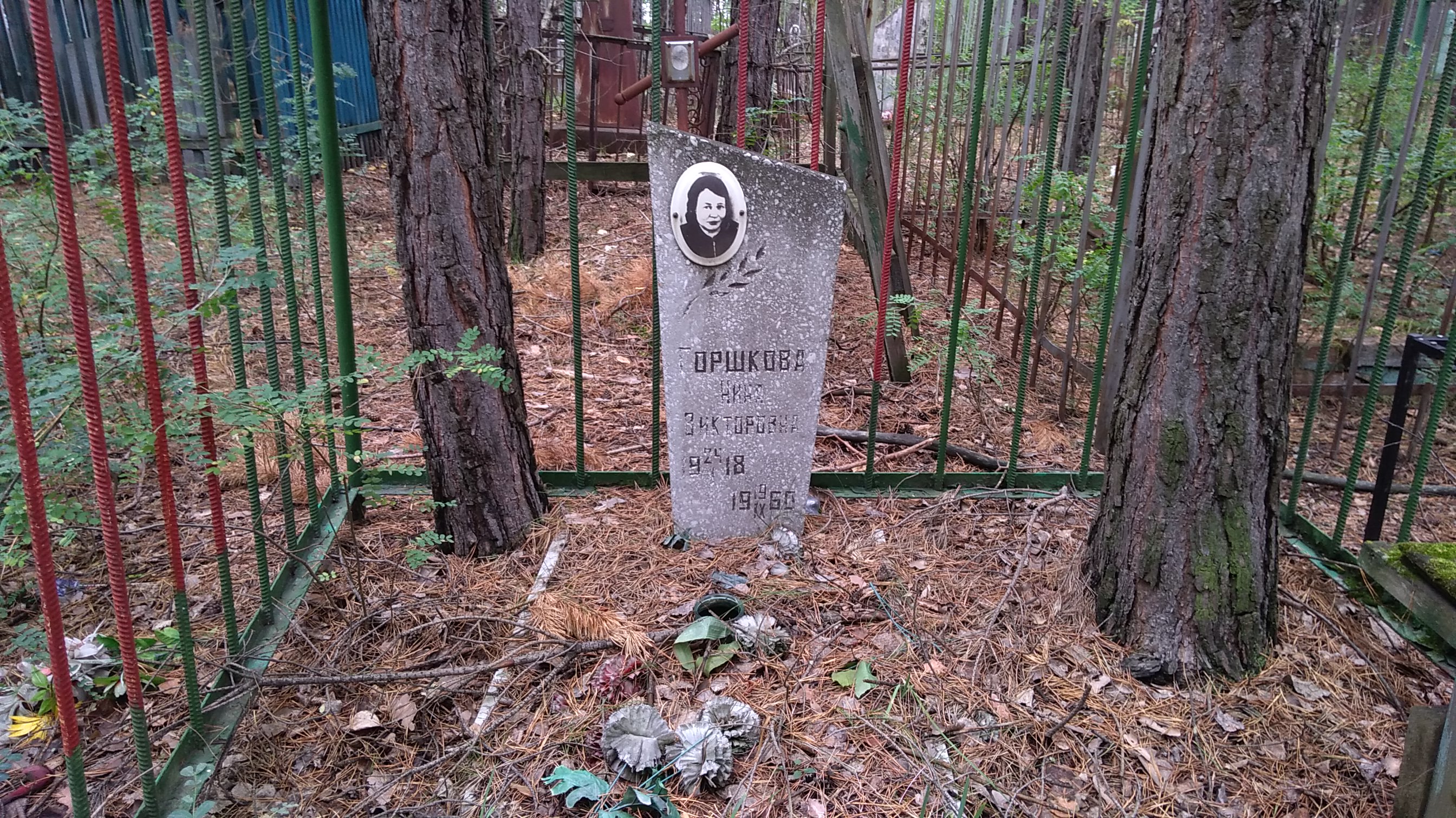 Горшкова Нина Викторовна