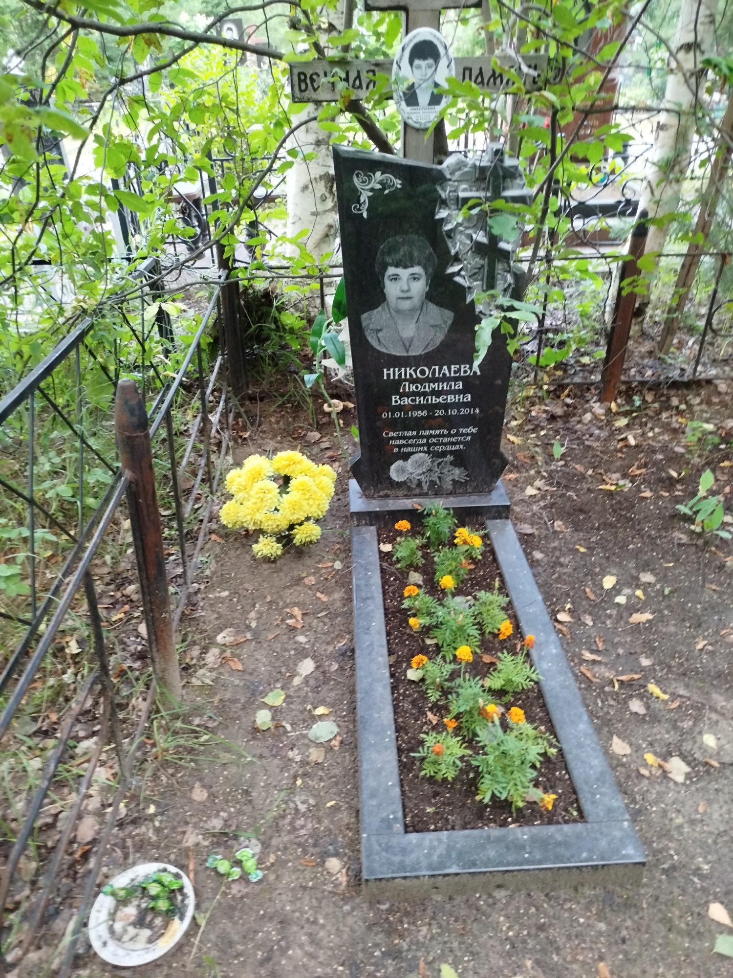Николаева Людмила Васильевна