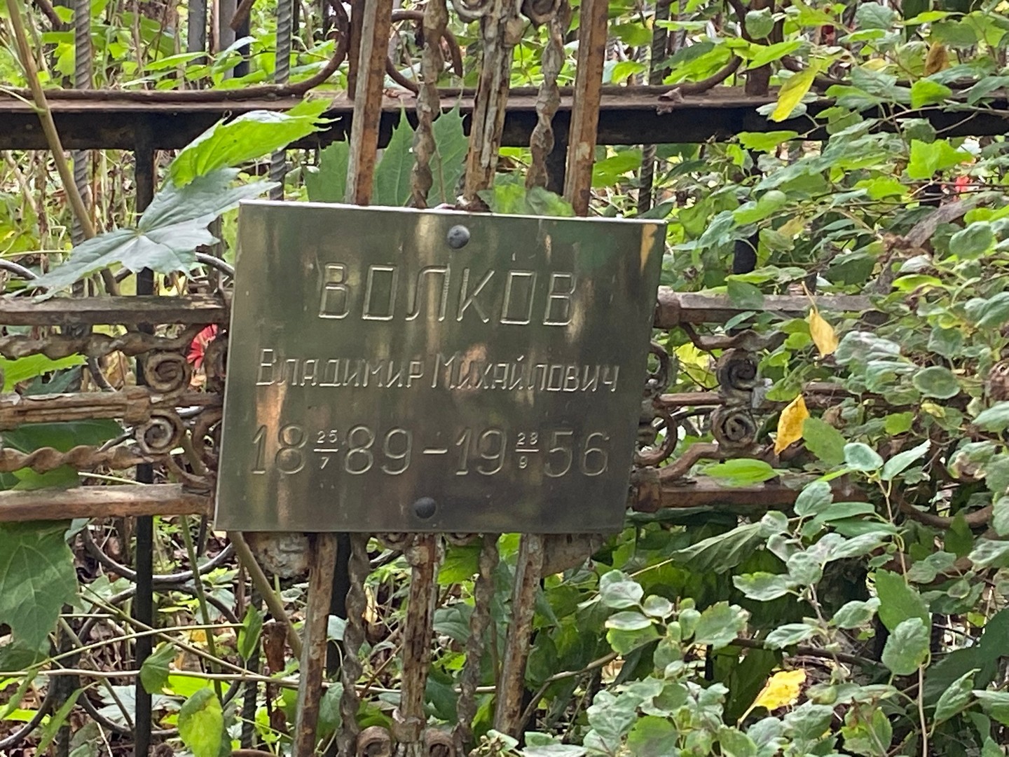 Волков