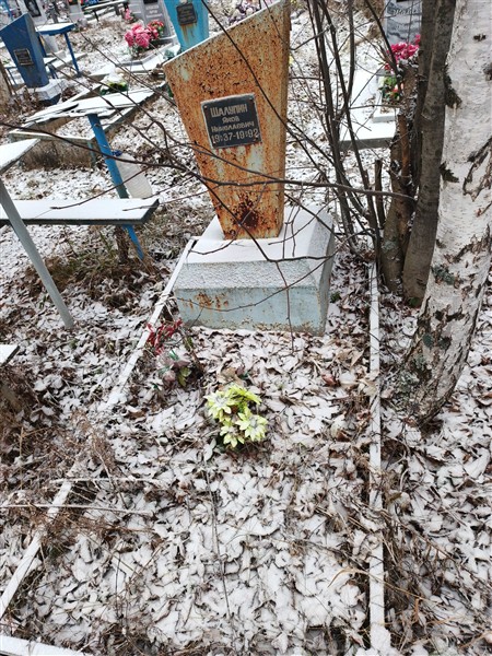 Шалупин Яков Николаевич