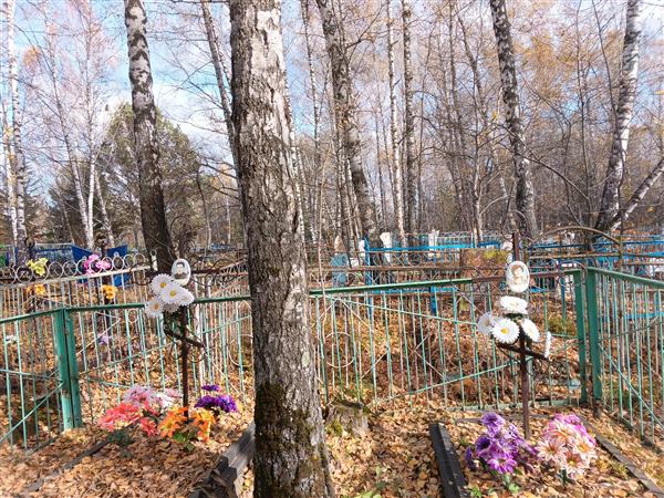 Челноков Николай Ильич