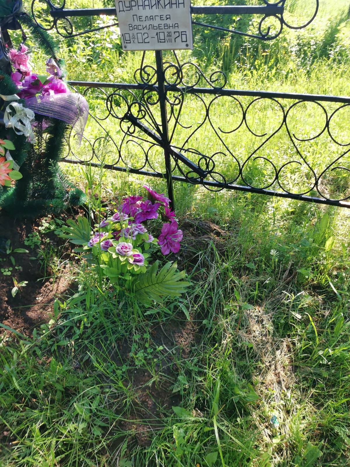 Дурнайкина Пелагея Васильевна