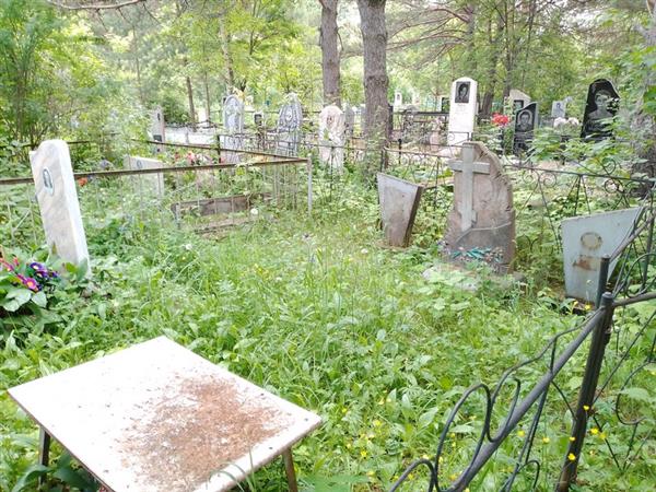 Сурначев Николай Алексеевич