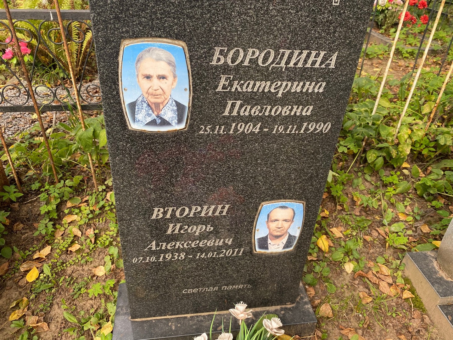 Бородина