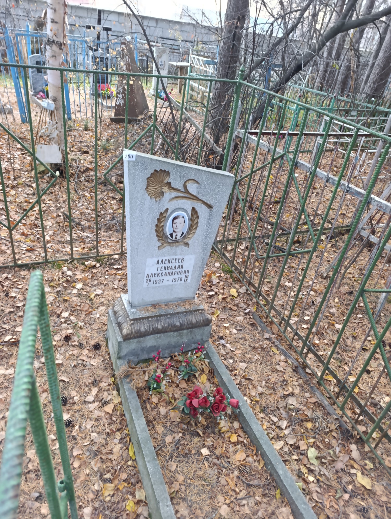 Алексеев Геннадий Александрович