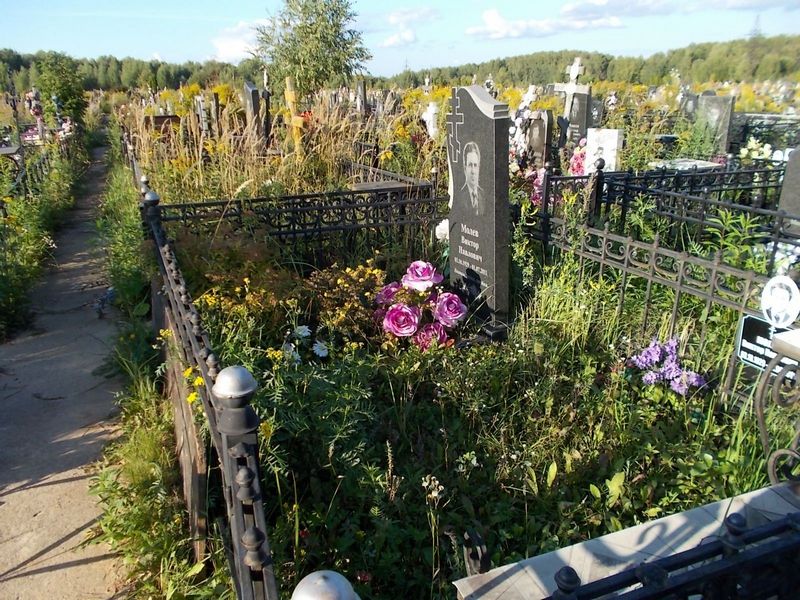 Молев Виктор Павлович