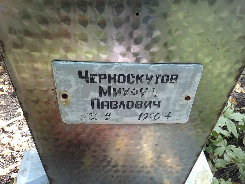 Черноскутов