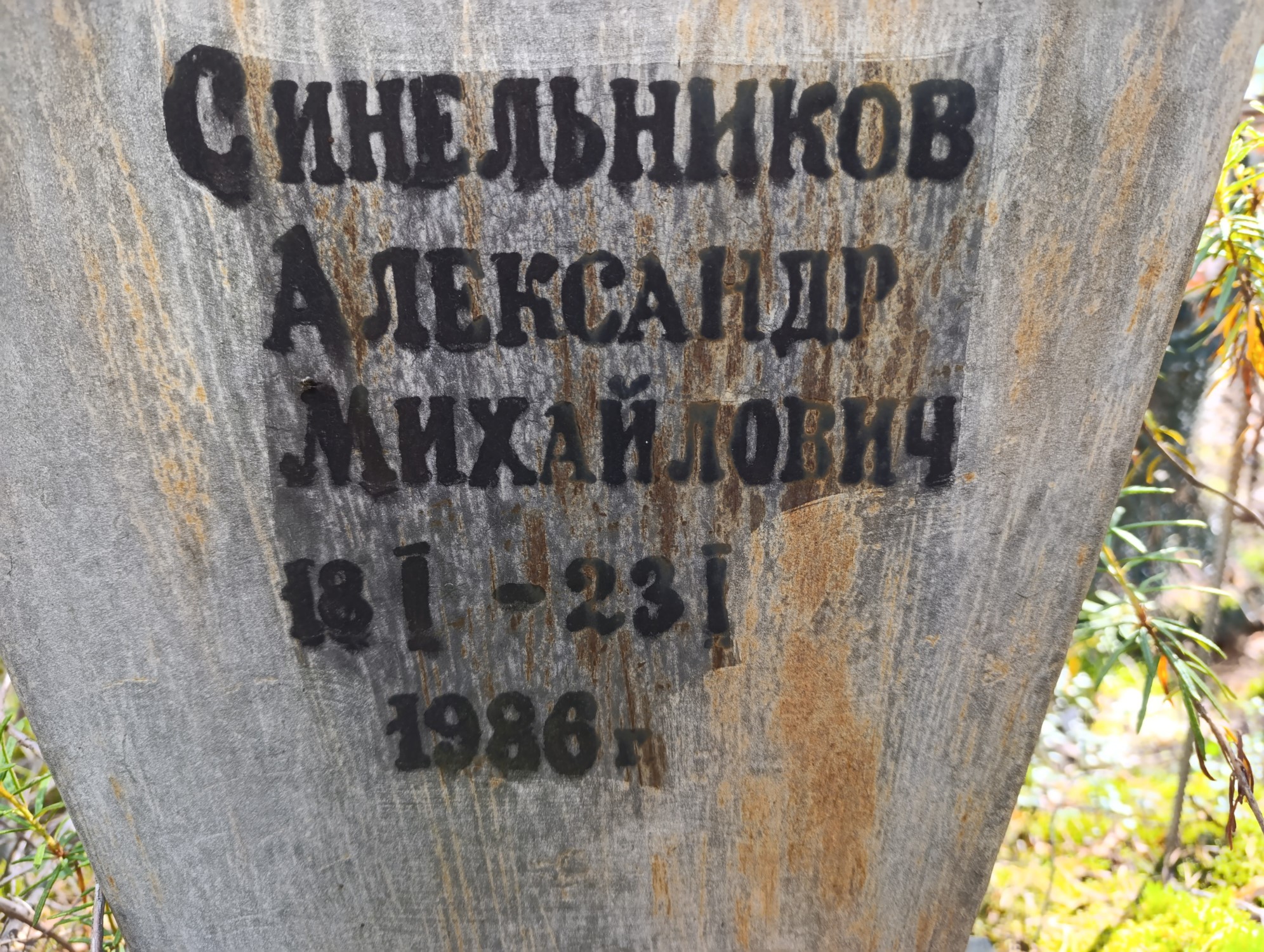Синельников Александр Михайлович