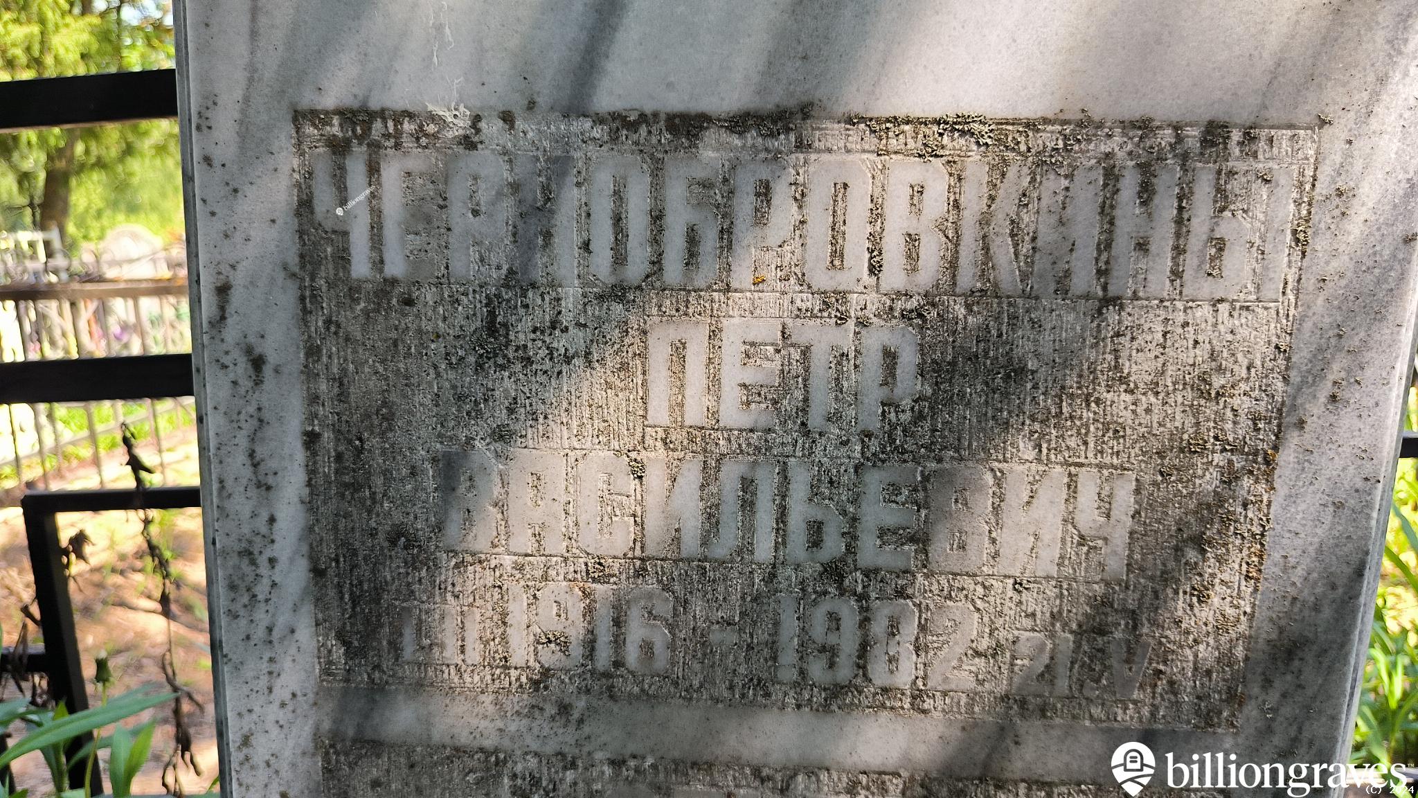 Чернобровкина Ольга Васильевна