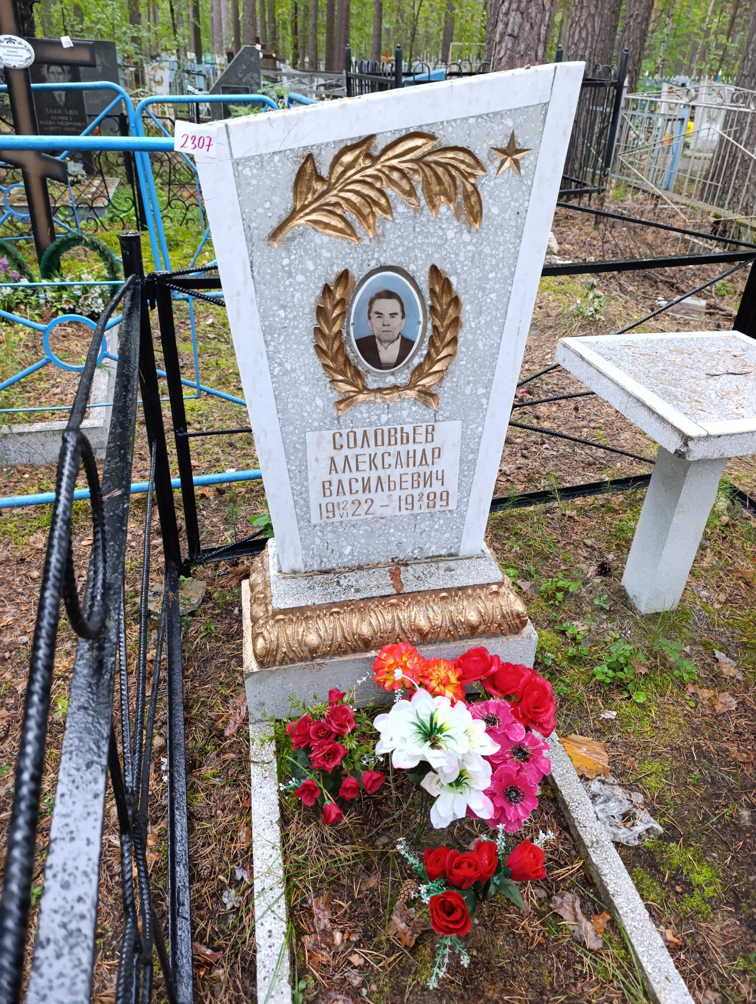 Соловьев Александр Васильевич